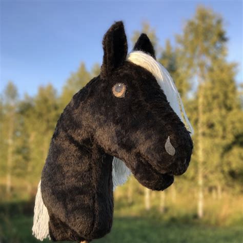 baumi horses|Baumi Horses .